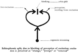 Reich's diagram of orgone energy in the schizophrenic split